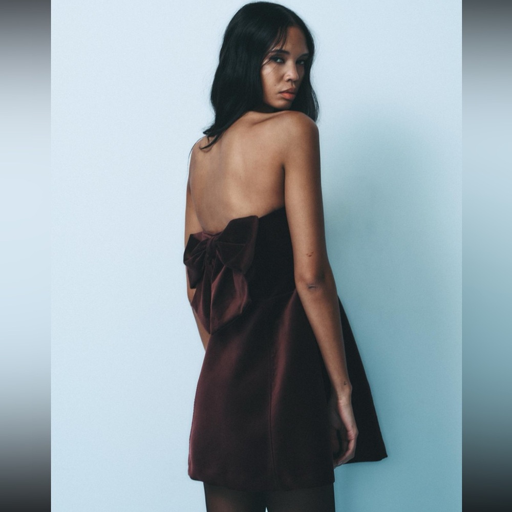 Sold Out* Viral Zara Burgundy Velvet Bow Dress